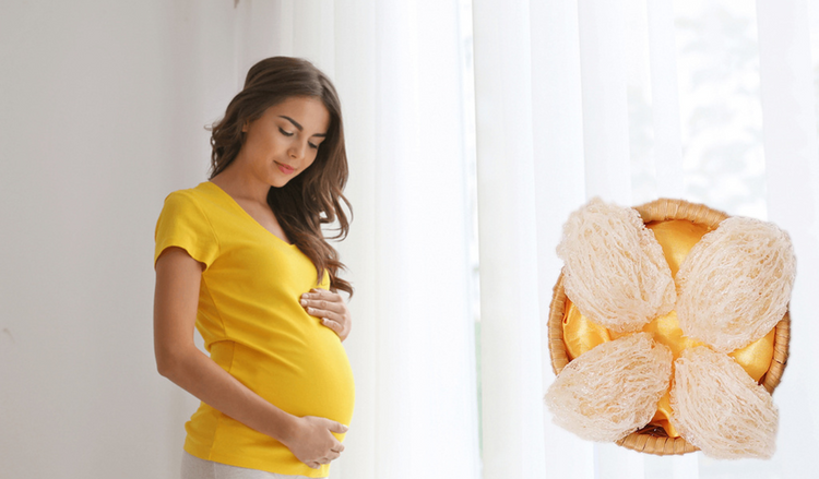 Bầu ăn yến được không: 8 Lợi ích tuyệt vời và những lưu ý