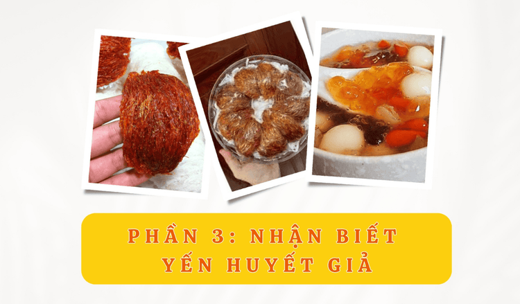 Phân biệt yến sào giả - Phần 3: Nhận biết yến huyết giả