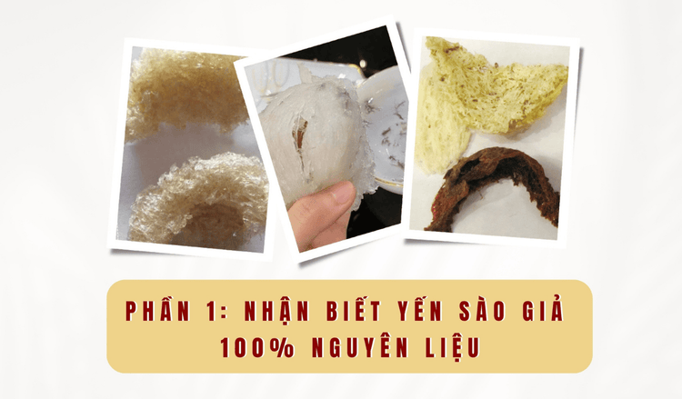 Phân biệt yến sào thật giả - Phần 1: Nhận biết yến sào giả 100% nguyên liệu