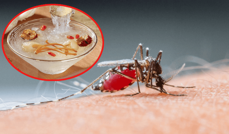 Sốt xuất huyết ăn yến được không, có tốt không?