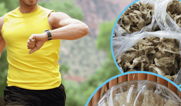 Tác dụng của yến sào với nam giới: 6 Lợi ích tuyệt vời cho phái mạnh