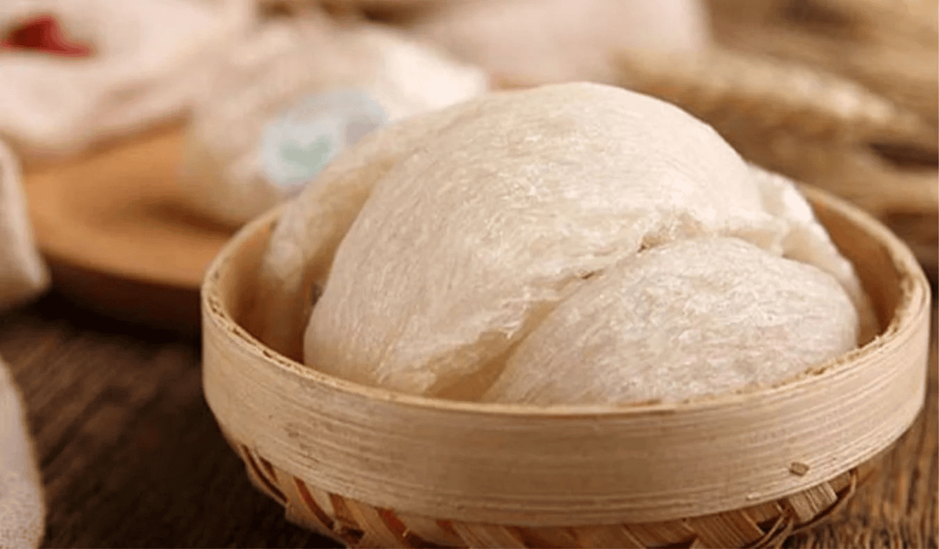 Yến sào là gì, tổ yến là gì, được khai thác ra sao?